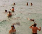 Meeting the stingrays