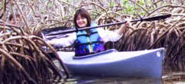 Kayaks through the mangroves